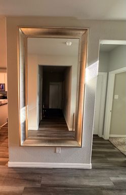 Large Decorative Wall Mirror – Champagne/Silver Frame