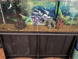 Fish Tank With Everything And 2 Pumps