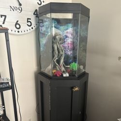 35 Gallon Fish Tank