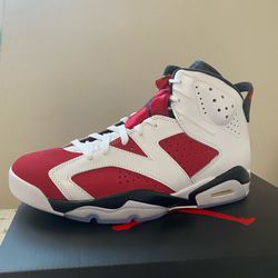 Jordan 6 Carmines 10.5