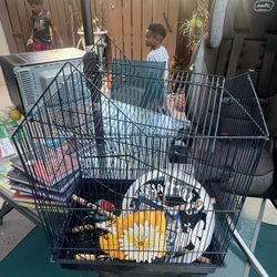 Small Bird Cage 