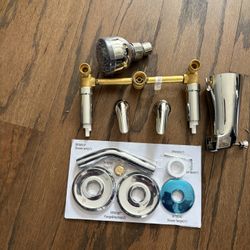 Glacier Bay Shower Set $40