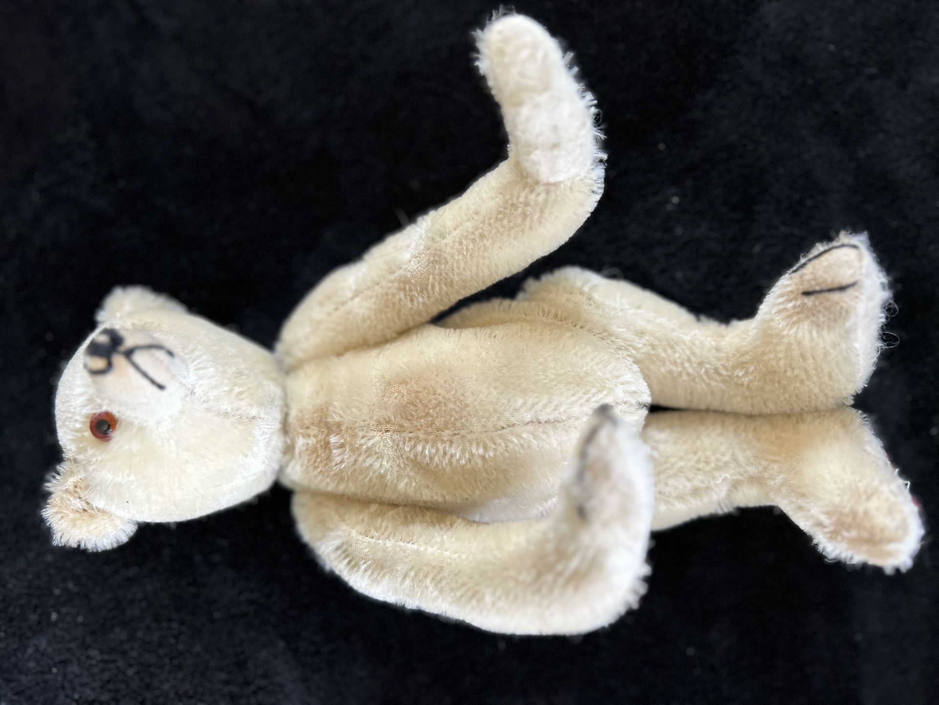 “JAC-Q-LYN Bears” Teddy Bear