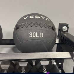 30lb Wall Ball