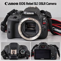 Camera Body + 18-55mm Zoom Lens