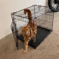 24” Wire Crate