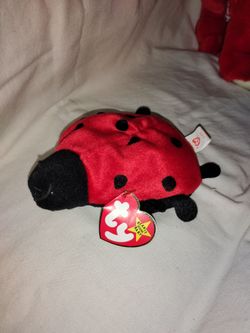 Rare Ladybug ty beanie baby