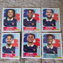 Panini World Cup Stickers