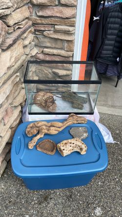 Terrarium and Supplies