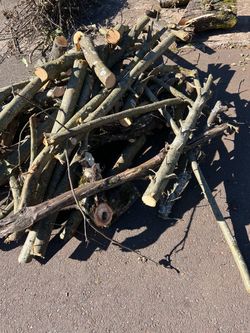 Free  Apple Wood