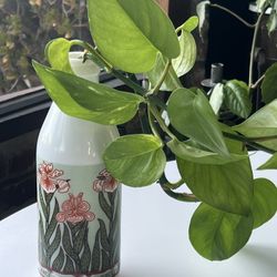 Vintage Egizia Milk Glass Juice Bottle/ Carafe with Golden Pothos Cuttings