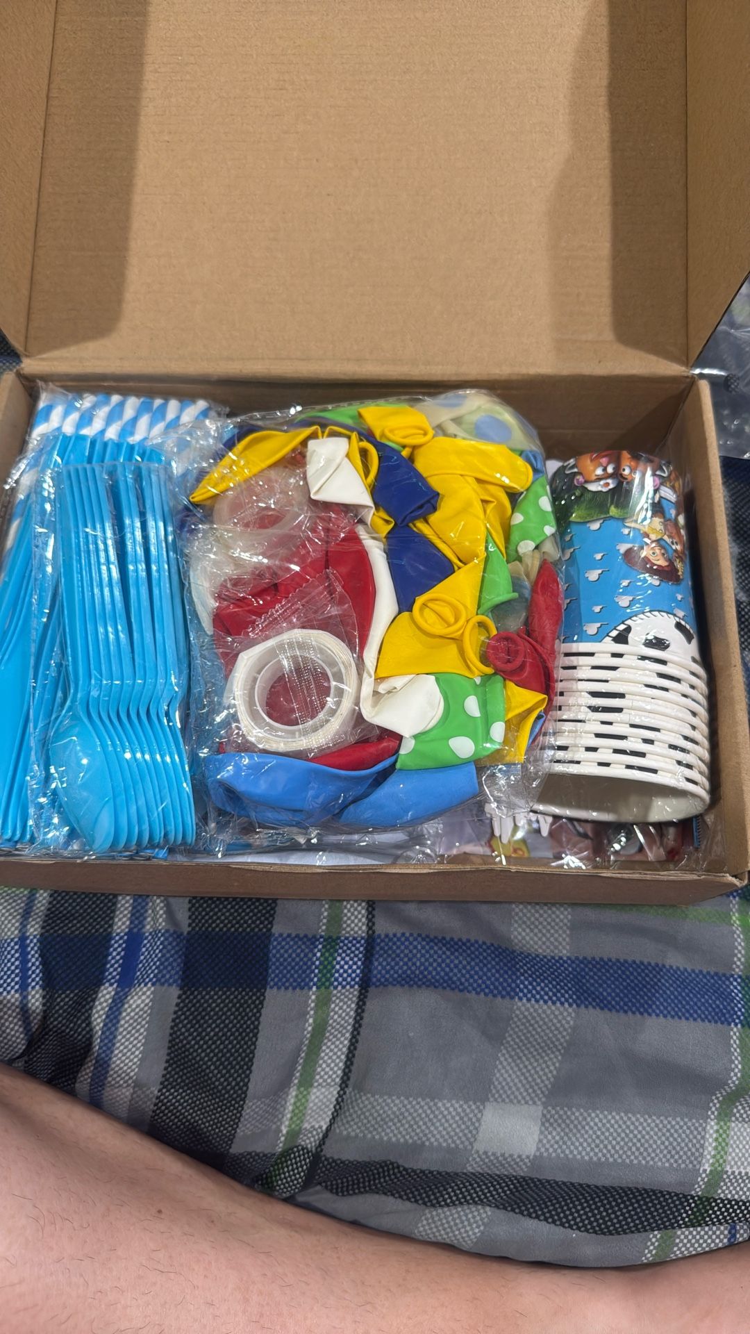 Toy Story Party Supplies