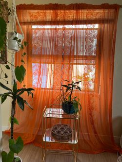 Burnt Orange Curtains Lace