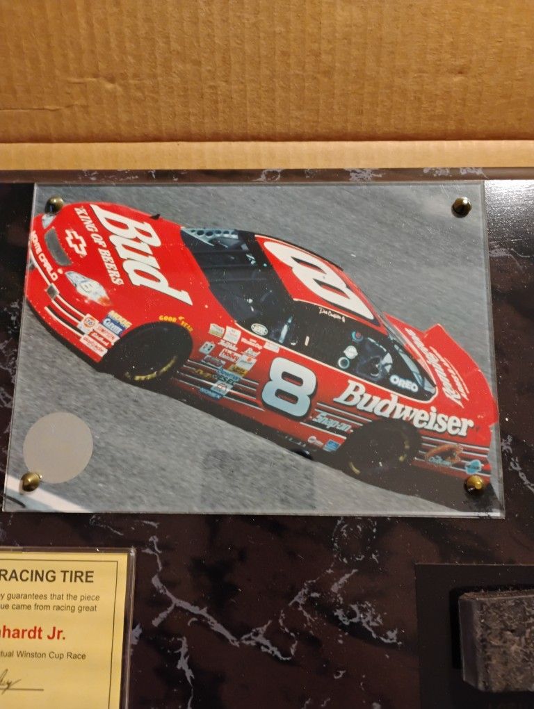 Authentic Racing Tire (Dale Earnhardt Jr)