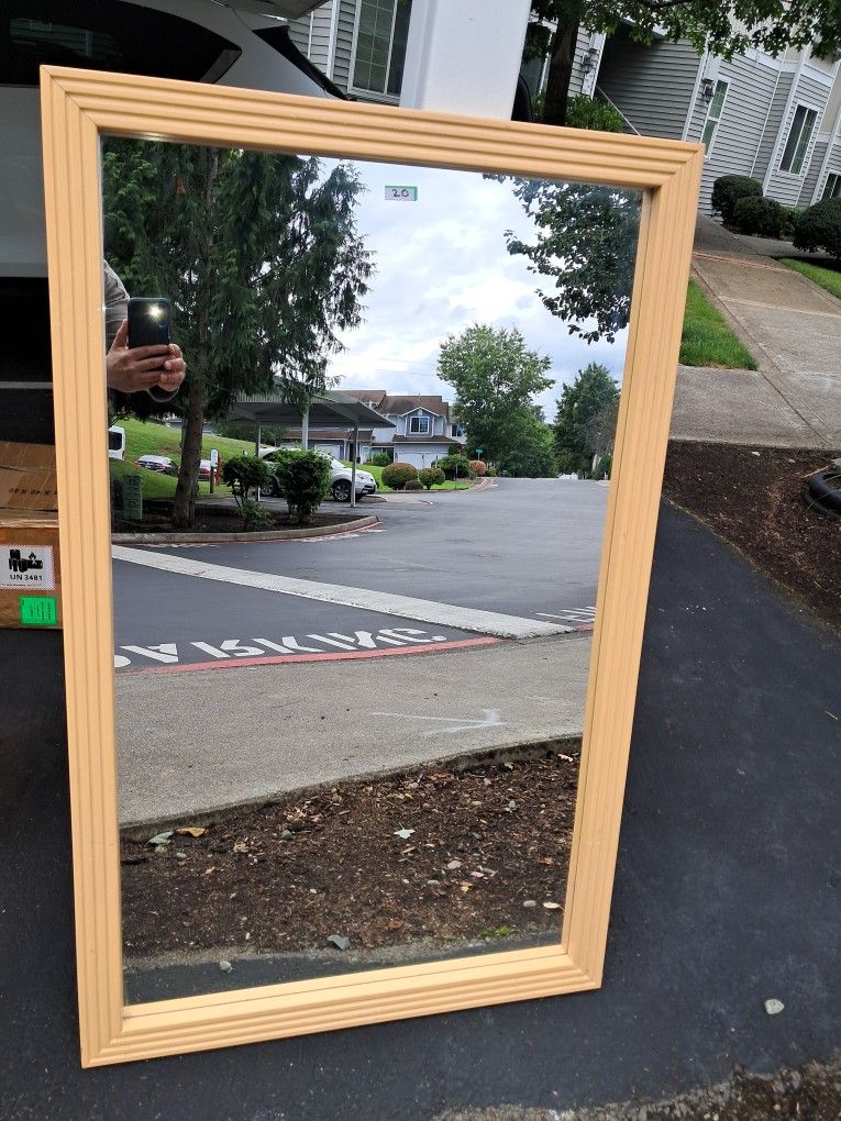1 Mirror.   28 X 45 Inch