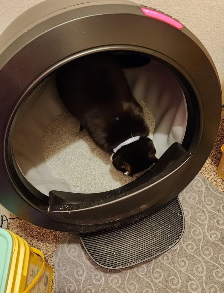 Litter-Robot