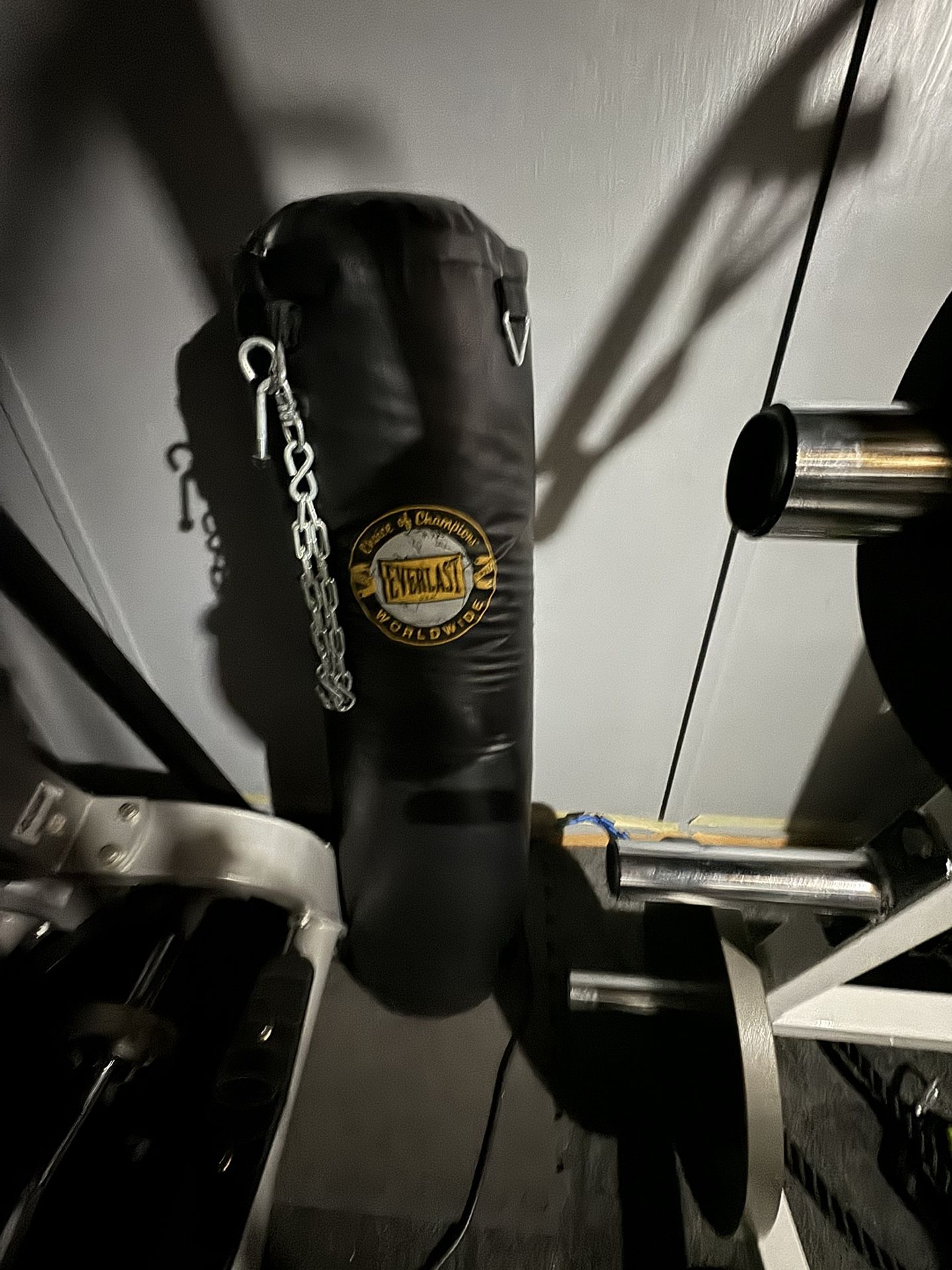 100 Pound Heavy Bag