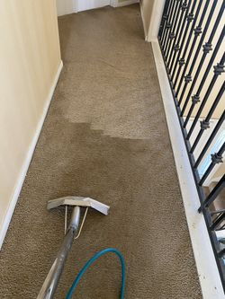 Carpet🫧🧼