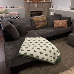 2 Piece sectional Couch 