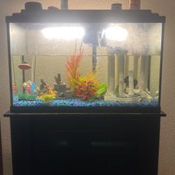 30 Gallon Fish Tank Complete Setup 