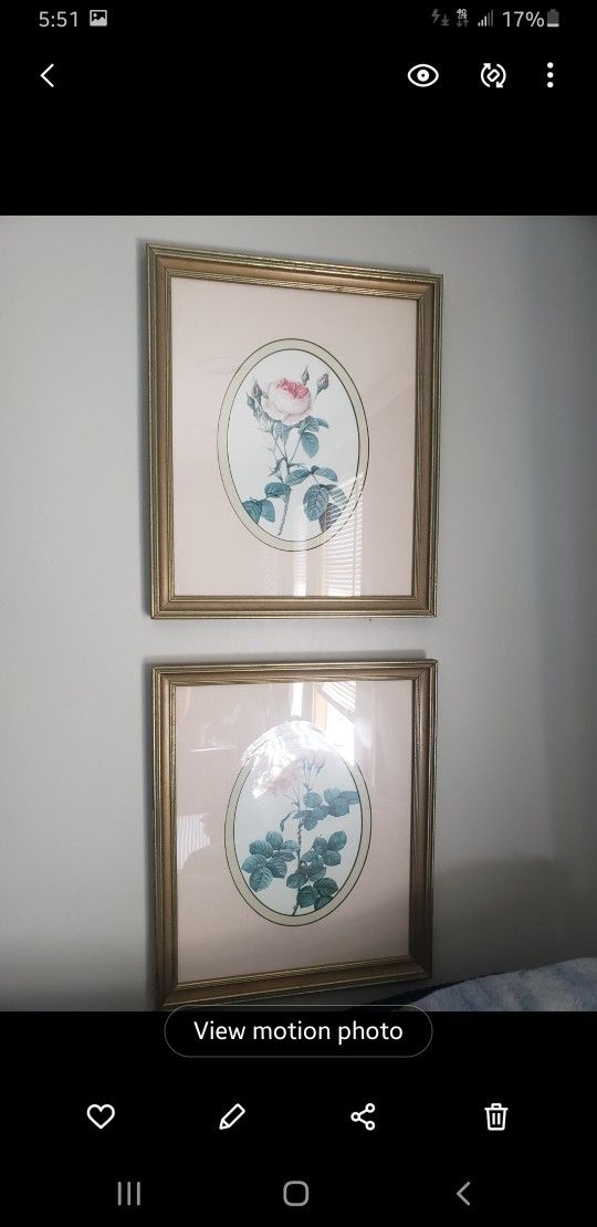 2 Vintage Flower Art