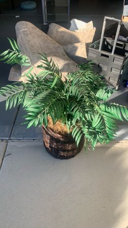 Fake plant