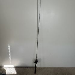 Fishing Rod And Reel 