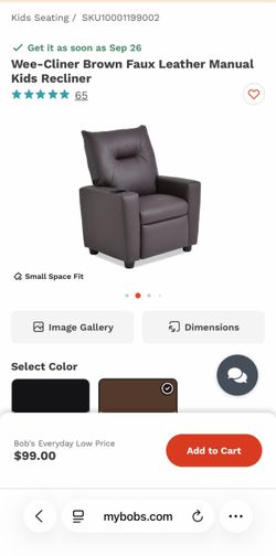 Kids Recliner