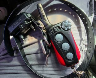 Dogtra iq plus dog collar