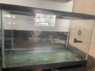 Fish tank