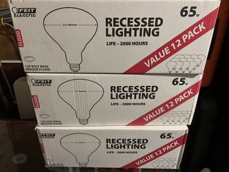 Feit Electric Light Bulbs
