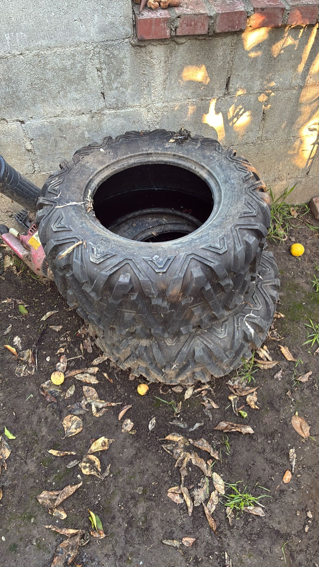 20 For All Three Of Them