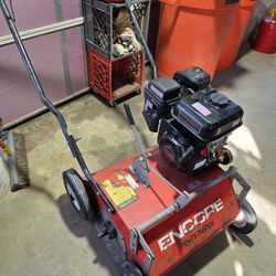 Dethatcher Power Rake