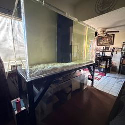 600 Gallon Acrylic Fish Tank With 250 Gallon Tank