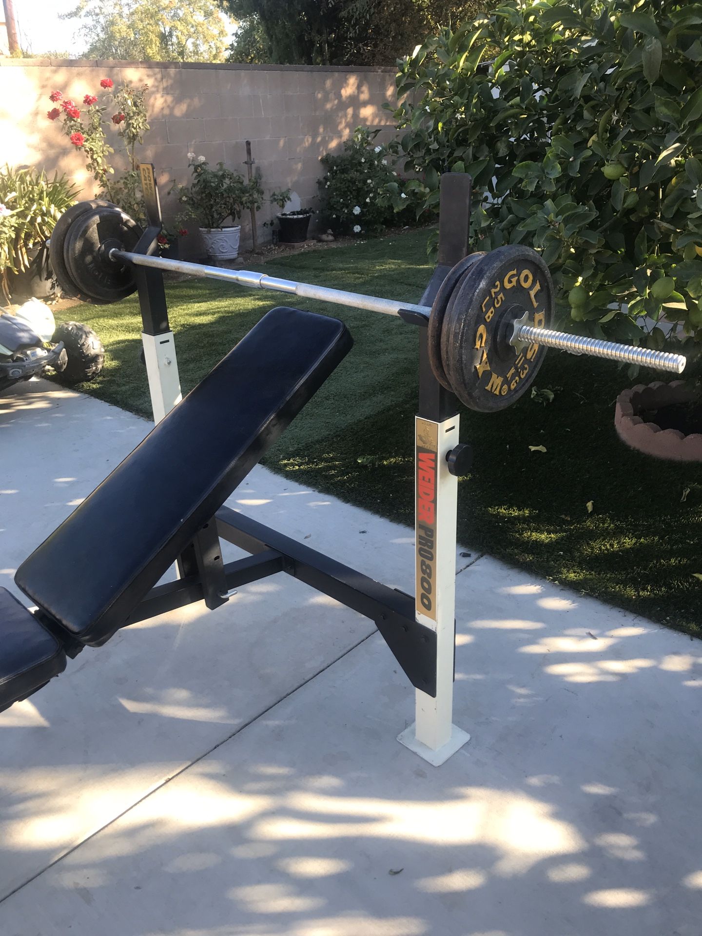 bench press with standard size bar and weights