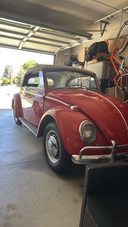 Vw bug