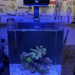 5g AIO Aquarium W/AI Prime 16