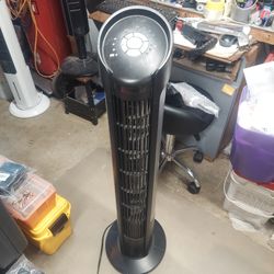 2 Tower Fans