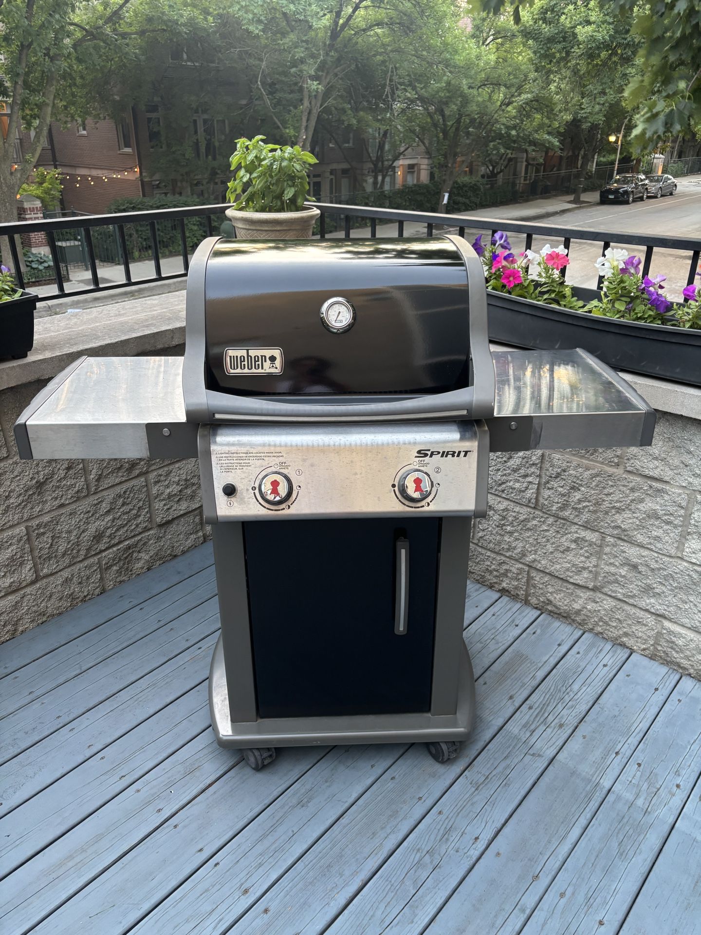 Weber 2 Burner Gas Grill