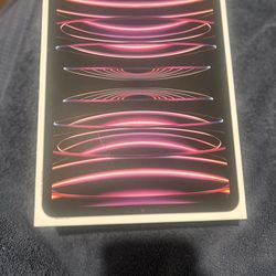 iPad 11-inch Pro 4th Gen