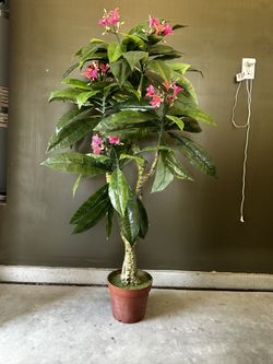 Flower Tree