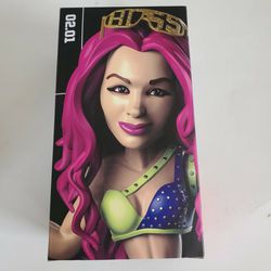 Sasha Banks Loot Crate Adult Toy Figuring Collectible