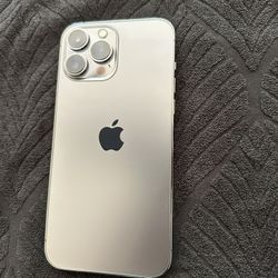 iPhone 13 Pro (256GB))