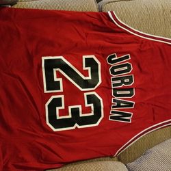 Michael Jordan Reversible Jersey