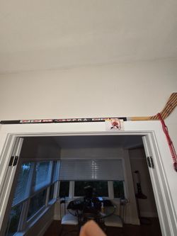Panther signed stick and photo bobrovsky
