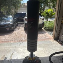 Punching Bag- Pickup Only 