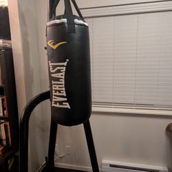 Everlast Punching Bag And Stand 