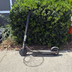 Ninebot Electric Scooter 