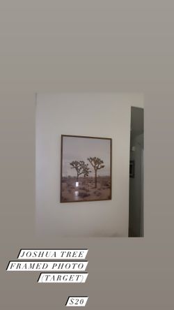 Joshua Tree Framed Photo