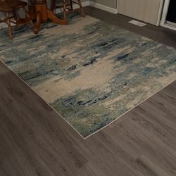 Barely Used, Just Bought Rug $100